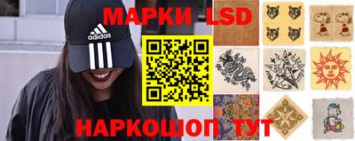 spice Кингисепп