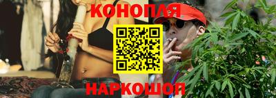 spice Кингисепп