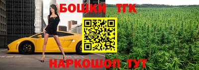 spice Кингисепп