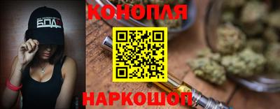 spice Кингисепп