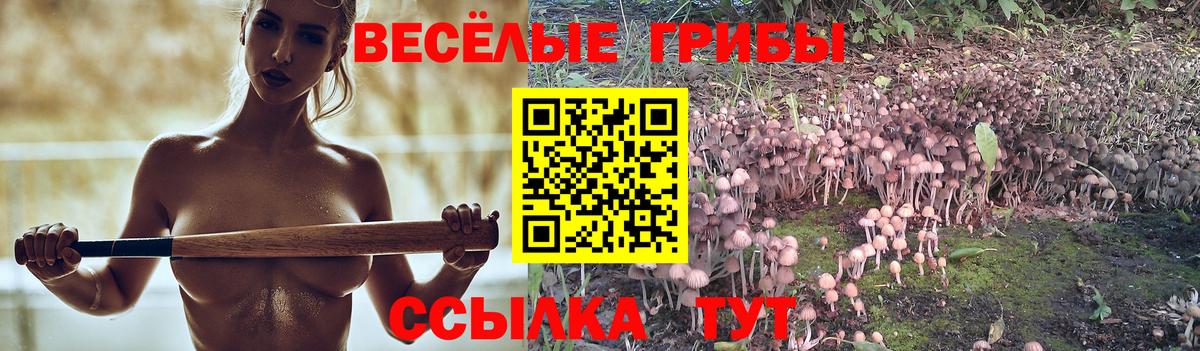 Галлюциногенные грибы GOLDEN TEACHER Лениногорск